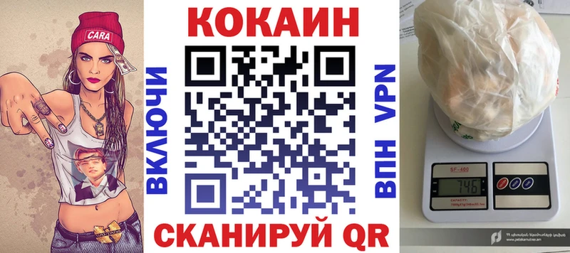 Cocaine Fish Scale где купить наркоту Ессентуки