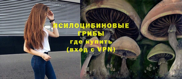спиды Гусев