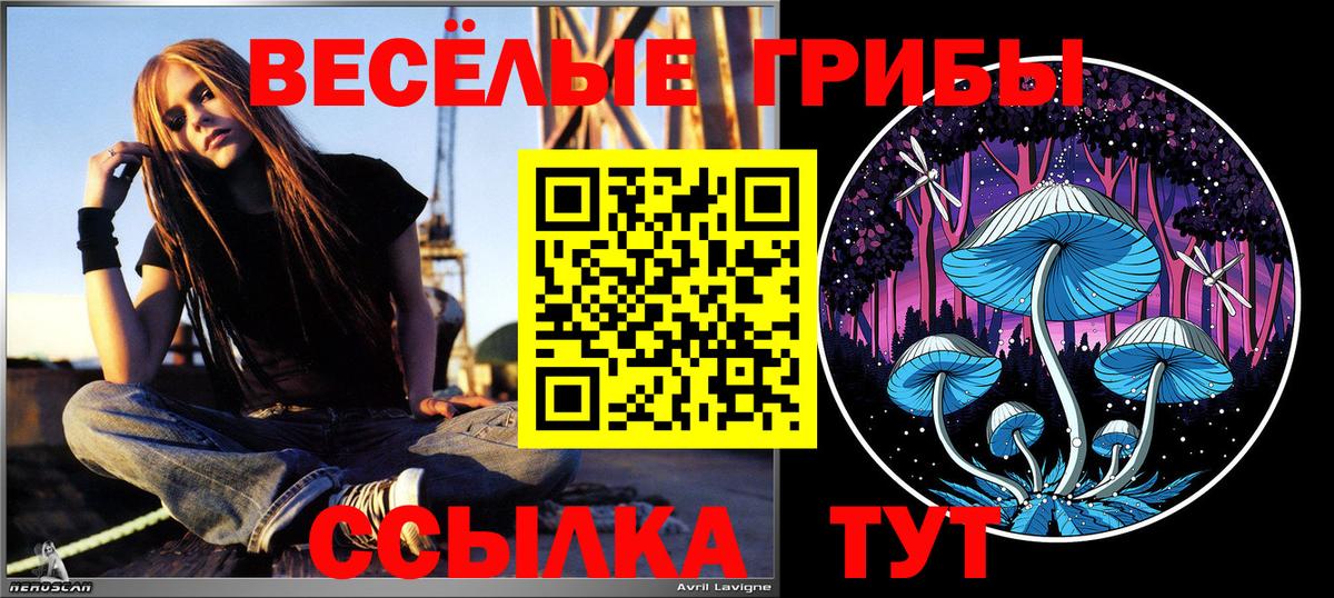 Ессентуки  Галлюциногенные грибы Psilocybine cubensis  Вход с VPN  Галлюциногенные грибы GOLDEN TEACHER 