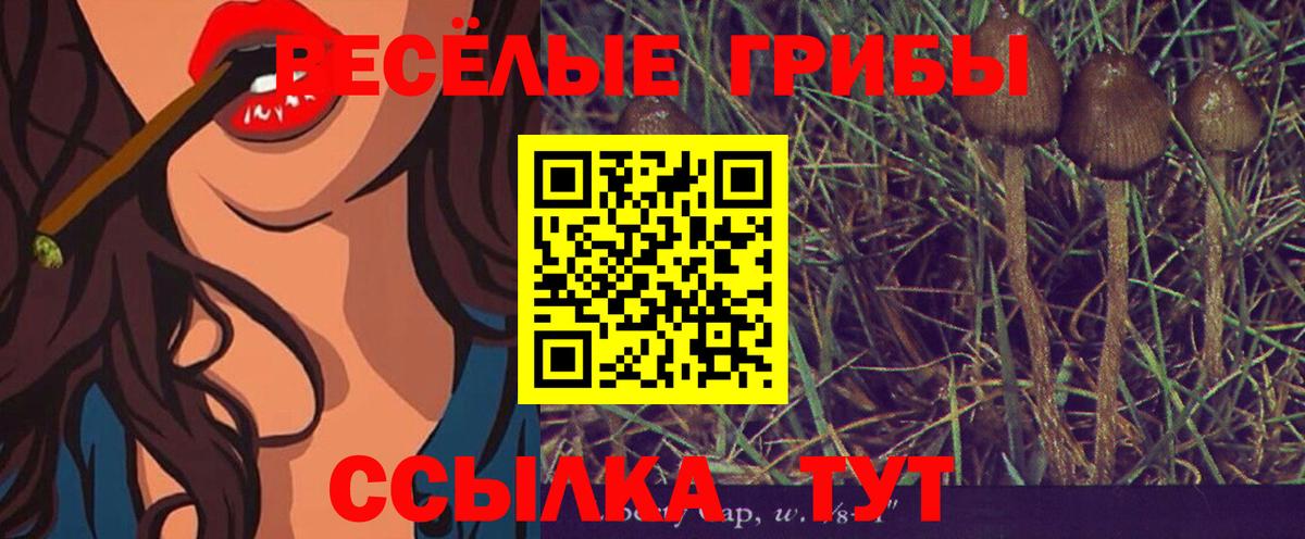 Галлюциногенные грибы прущие грибы Ессентуки